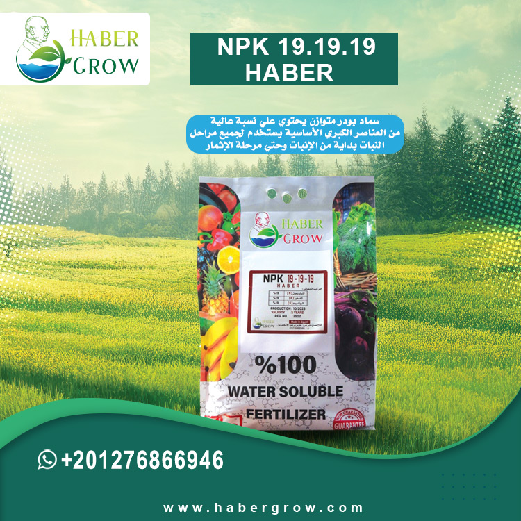 NPK 19.19.19 - HABER