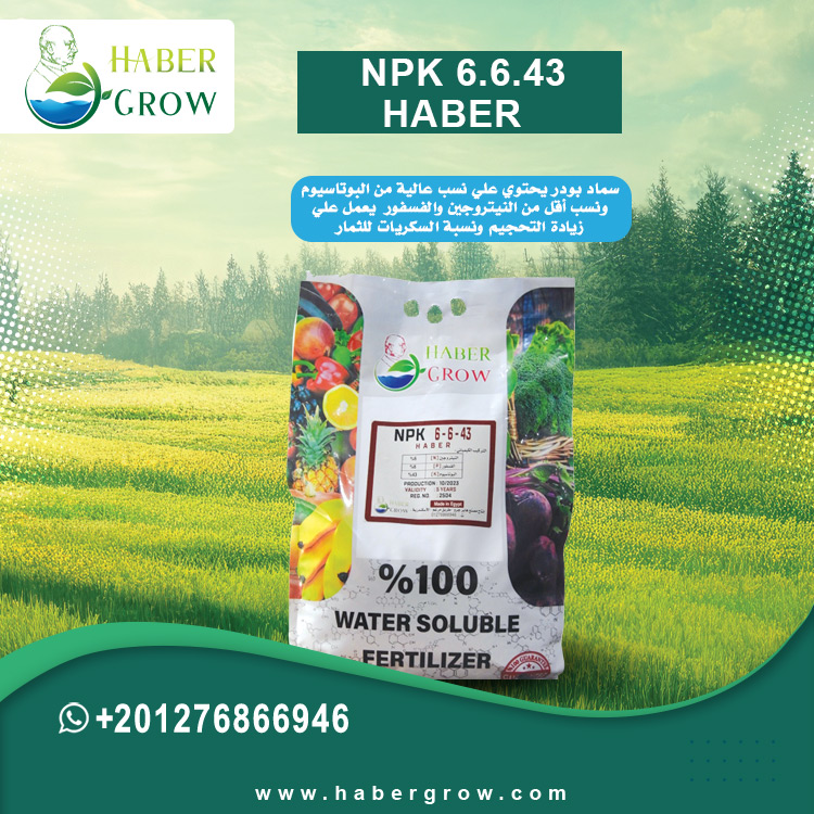 NPK 6.6.43 - HABER