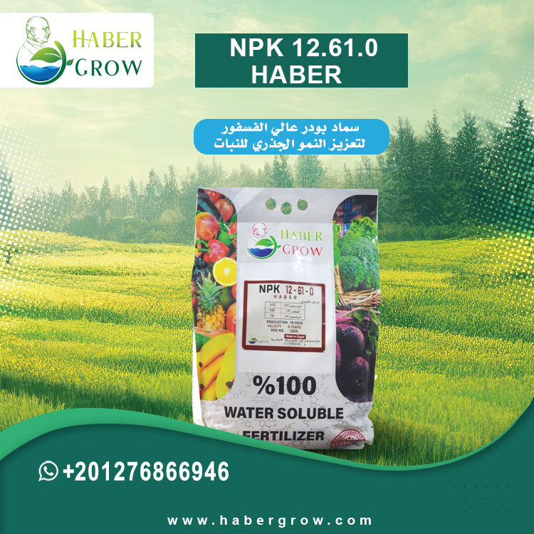 NPK 12.61.0 - HABER