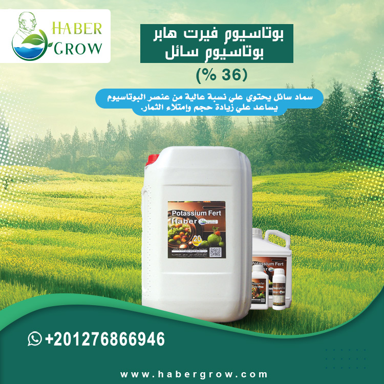 Potassium Fert Haber - Liquid Potassium 36%