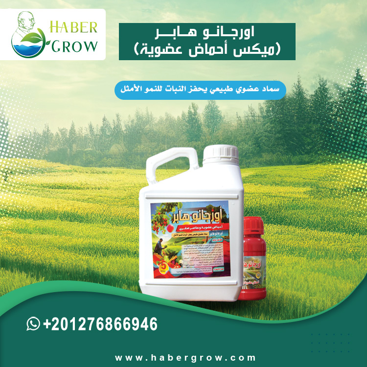 Organo Haber / Organic Acids Mix