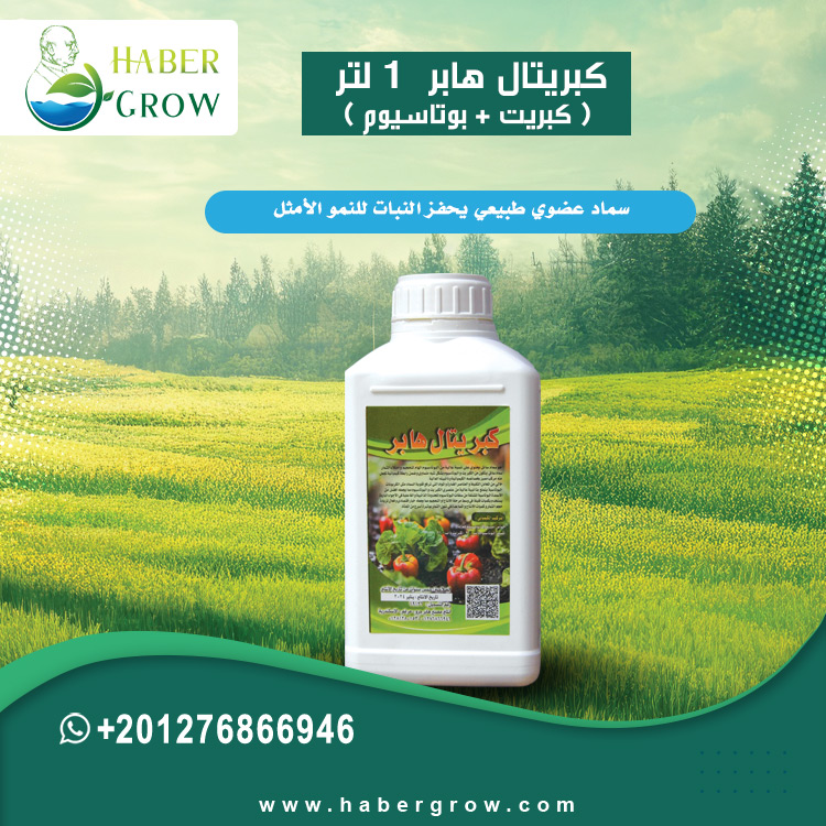 Sulfur Haber 1 liter (sulfur + potassium)